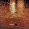 L'ochetta - 1991, cm. 100x100