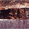 La Fonte - 1999, cm. 120x60