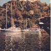 Il Castello Brown - 1993, cm. 40x60