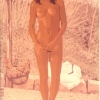 La rinascita di Venere - 1978, cm. 70x100