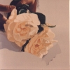 Le due rose - 1989, cm. 100x100
