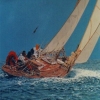 Il Clio in azione - 2002, cm. 70x70