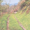 Arrivando da Gorisa - 2006, cm. 55x45