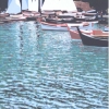 Piccole vele a Portofino - 2001 - cm 50x70