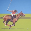 Il polo - 2010 - cm 100x100