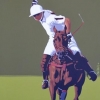 Il polo II - La grinta - 2010 - cm 60x100