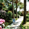portofino-1639