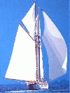 'Il Puritan' 2003, cm. 60x80