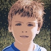 'Riccardo' 2005, cm. 50x50