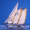 'Lelantina' 2008, cm. 100x100