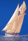 'Altair' 2005, cm. 70x100