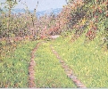 'Arrivando da Gorisa' 2006, cm. 55x45
