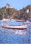 'Il castello Brown' 2008, cm. 50x70