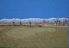 'Putting-green' 2009, cm. 100x70