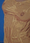 'La maglietta bagnata' 2008, cm. 50x70