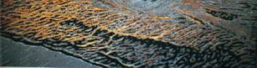 'L'ondina' 1991, cm. 100x28