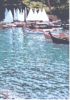 'Piccole vele a Portofino' 2001, cm. 50x70