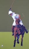 'Il polo II - La grinta' 2010, cm. 60x100