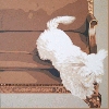 'Il salto' 2004, cm. 70x70