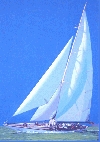 'Velsheda' 2003, cm. 100x100