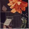 'Le nuove libertà' 1990, cm. 70x70