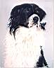  1999, cm. 40x50